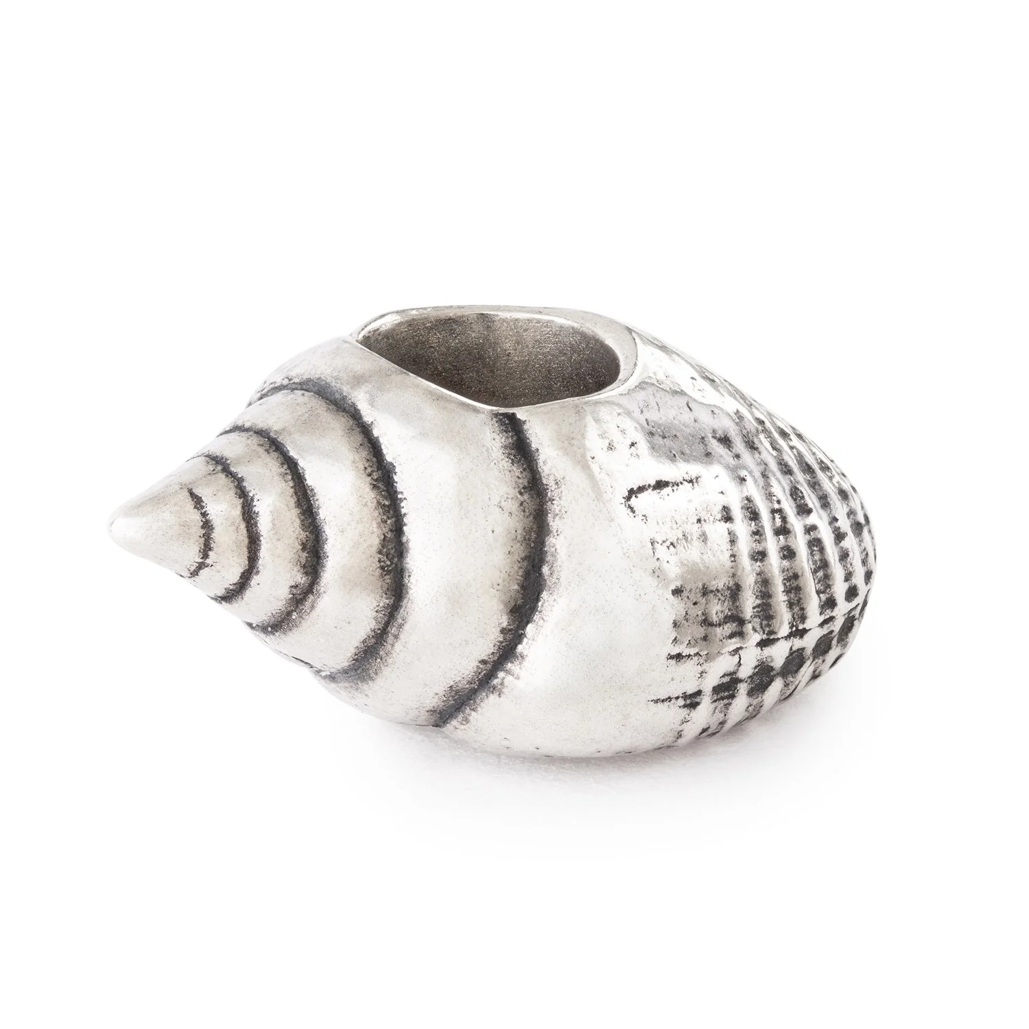 Conch’s Call - Image 4
