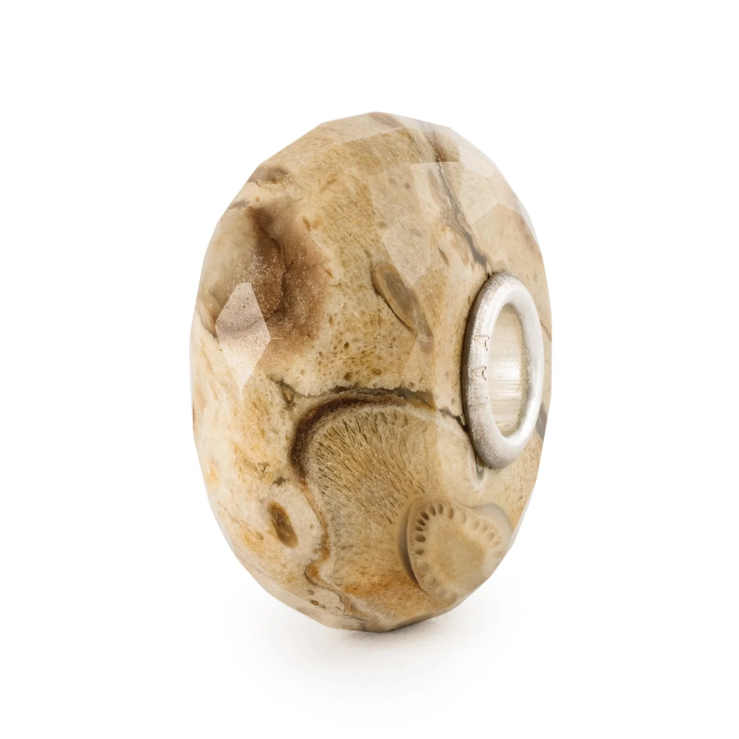 Fossilised Wood Bead - Image 3