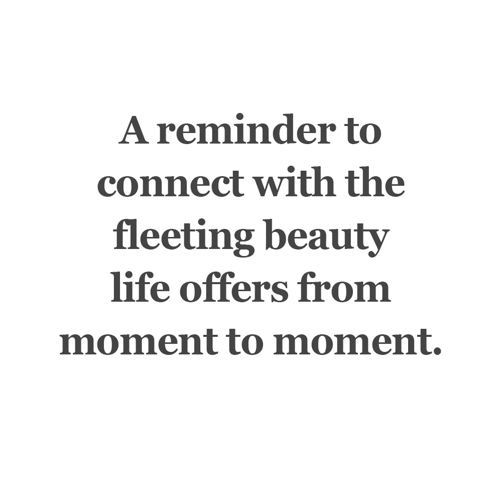 Moments Connector Bead - Image 4