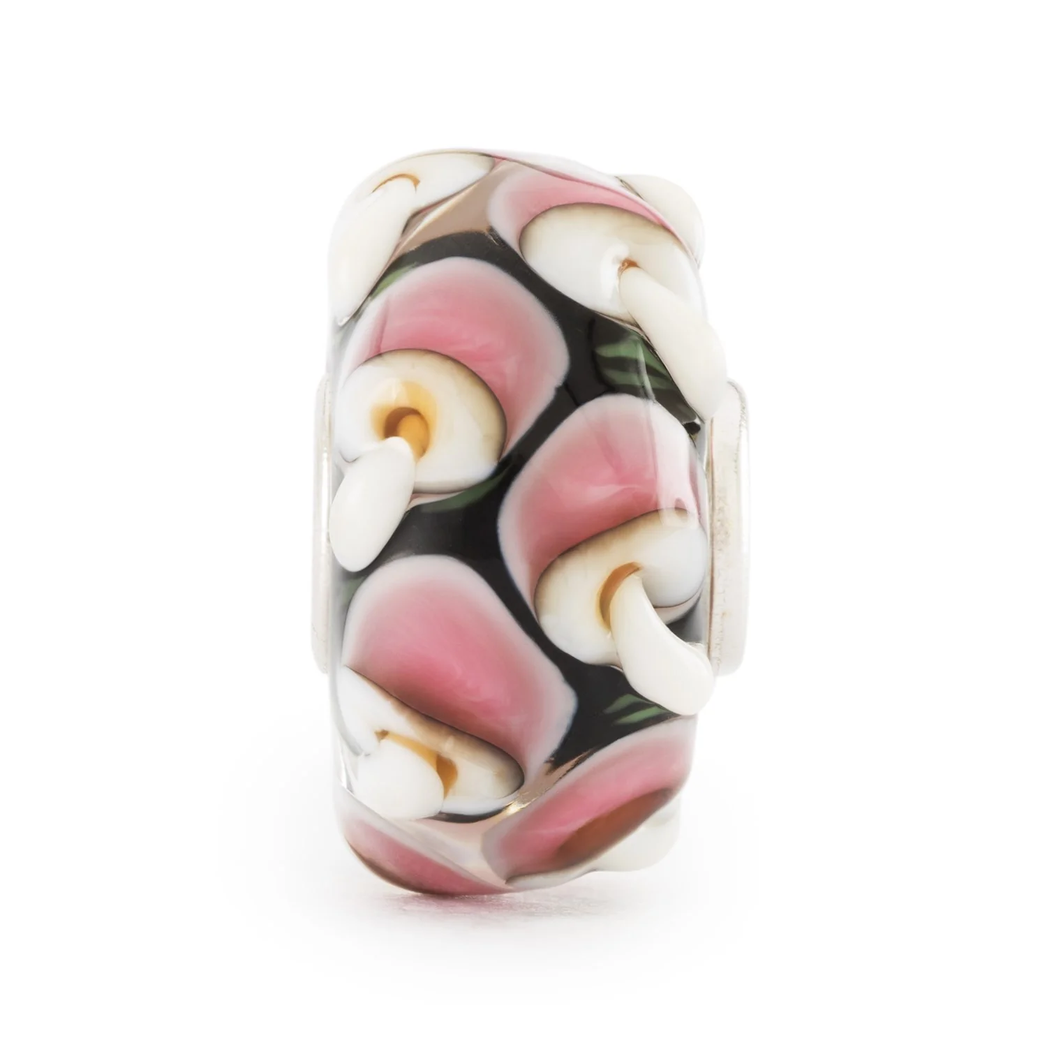 Mushrooms of Vitality - Image 2