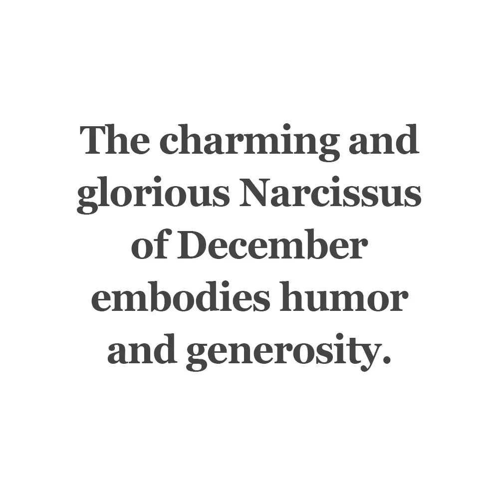 Narcissus of December Bead - Image 6
