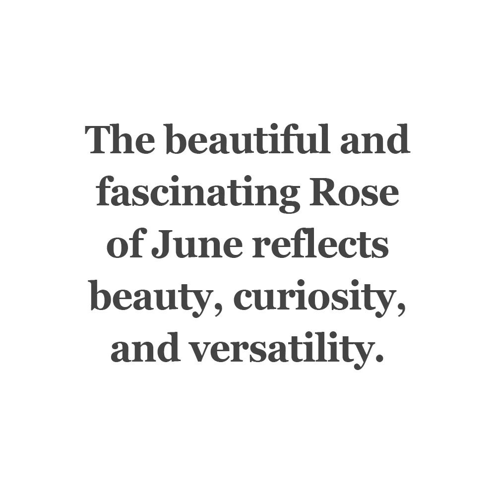 Rose of June Bead - Image 8