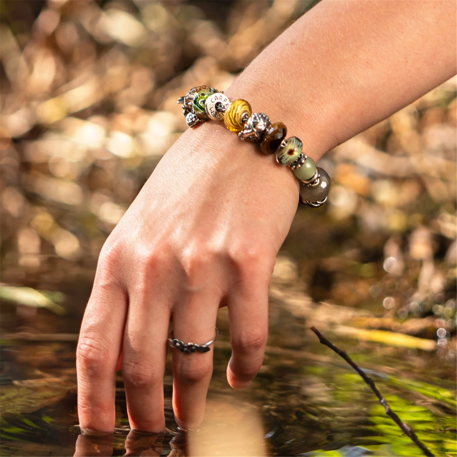 Tadpole's Journey - Image 4